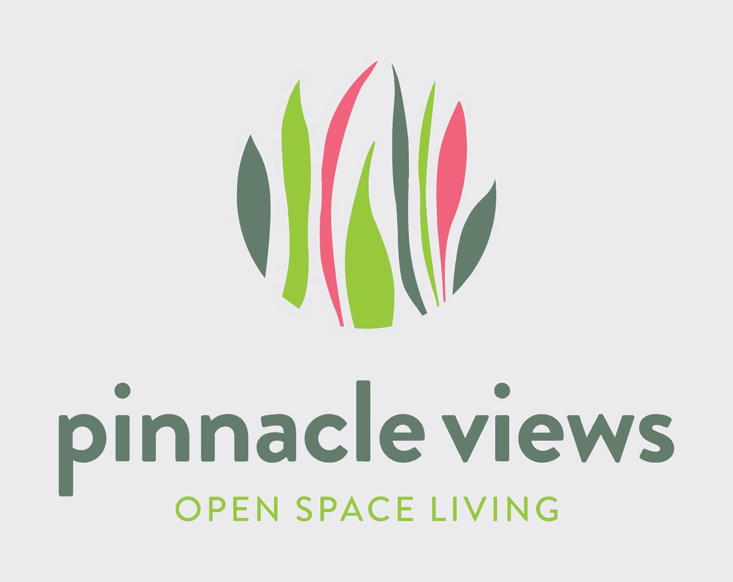 Pinnacle Views2